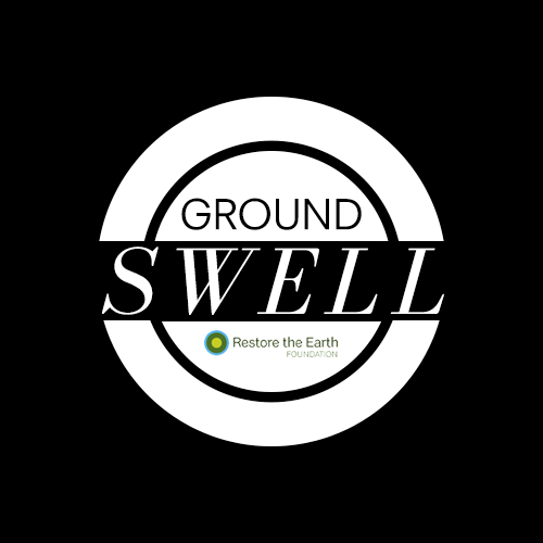 groundswell-variation2-fontalternative