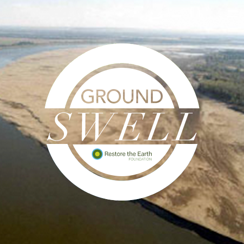 groundswell-variation2-white